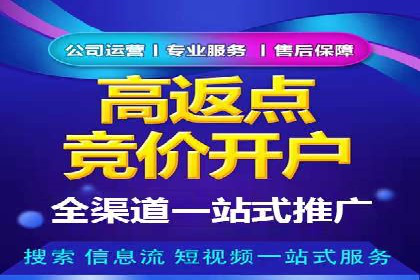 精选案例分享：SEM代运营公司效果展示